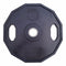 Weight plate 20 kg (12-sided/black)