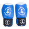 Boxing gloves from Nordic Strength - Blue - Shapenation.com