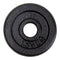 Iron weight plate - 1.25 kg (30 mm)